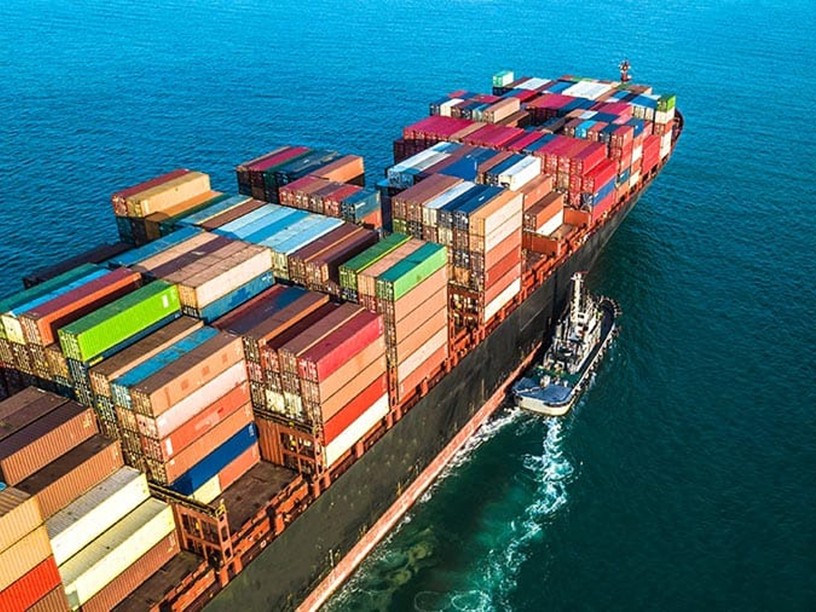 import export client meet